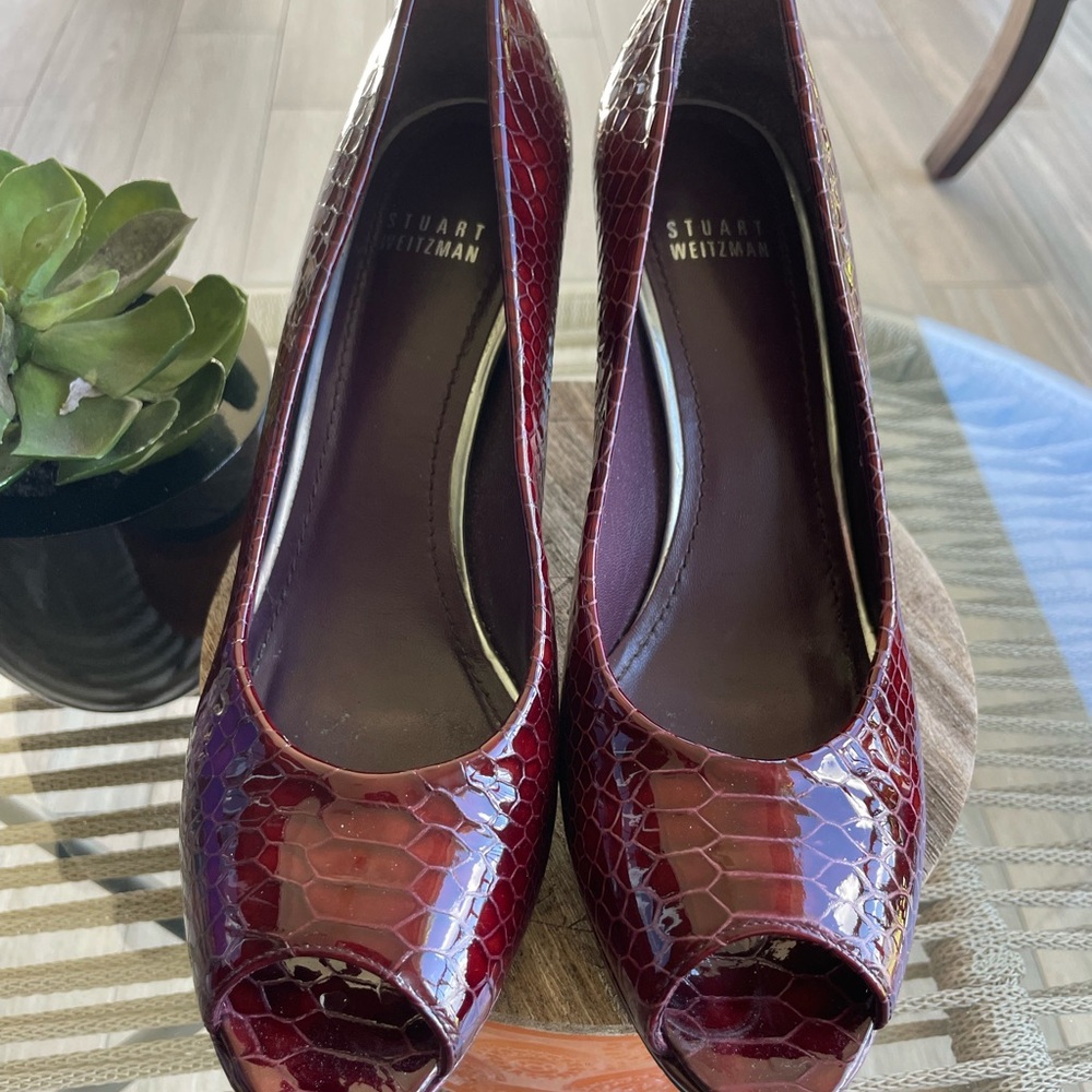 [ Stewart Weitzman ] Nude Snake Pump Vino Crystal View 5